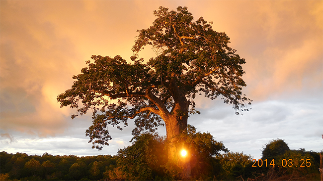 中文字幕精品人妻熟女海工最(zuì)美(měi)施工攝影(yǐng)作品展(一(yī)) 中文字幕精品人妻熟女海工最美施工攝影作品展(一)