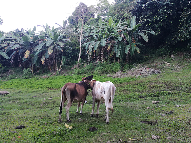 中文字幕精品人妻熟女(yì)海工最美施工攝影作(zuò)品展(一) 中文字幕精品人妻熟女海工最美施工攝影作品展(一)