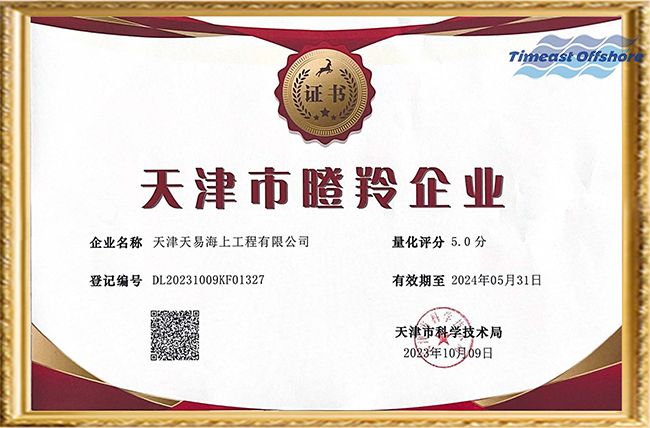 喜報丨中文字幕精品人妻熟女海工榮（róng）獲“天津市創新型中小企業”和“天津市（shì）瞪羚企業”雙重（chóng）認定